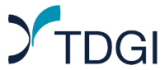 logo_tdgi logo_tdgi